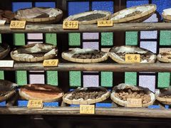 -陈李济中药博物馆