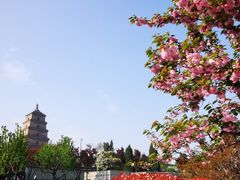 -大雁塔北广场音乐喷泉