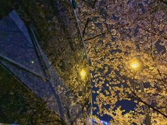 -上海南浦大桥长途旅游客运站