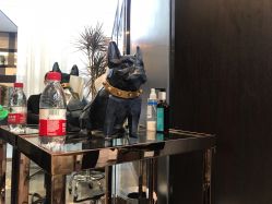 -CD Hair salon