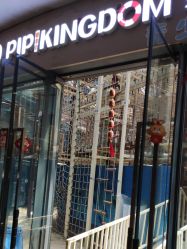 -PIPIKINGDOM皮皮王国欢乐号(欢乐海岸购物中心店)