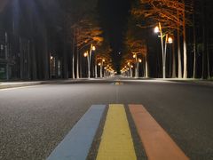 -日照海滨国家森林公园