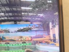 -南宫温泉水世界