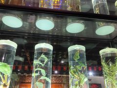 -广东中医药博物馆