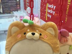 -LLJ夹机占(正佳广场店)