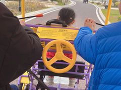 -九龙湖公园