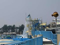 -秦皇岛乐岛海洋王国