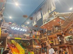 -卡通尼·Safari非洲探索乐园·生日会(金桥国际商业广场店)