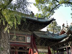 -晋祠公园