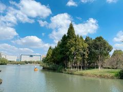 -青枫公园