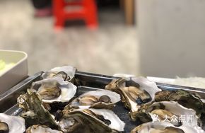 Large Oyster