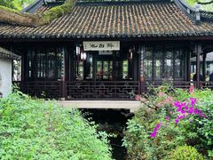 -上海醉白池公园