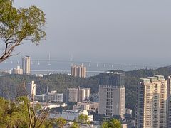 -板樟山森林公园