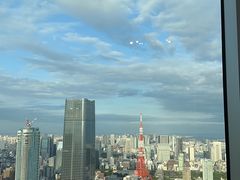 -六本木新城展望台(东京城市景观)