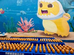-海合安成都极地海洋公园