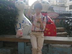 -猫咪博物馆(顶澳仔猫街店)