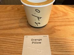 orange&nbsp;pillow-O.P.S. CAFE