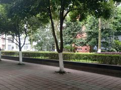 -西南政法大学(渝北校区)