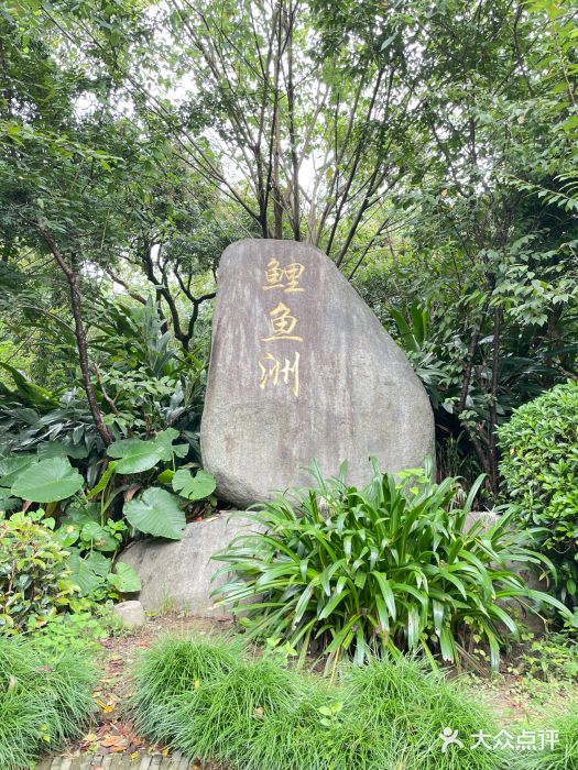 福建鲤鱼洲酒店图片