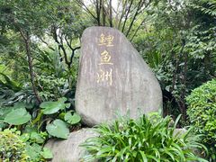 -福建鲤鱼洲酒店