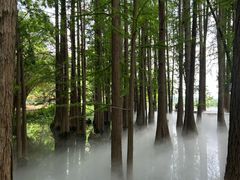 -东湖落雁景区
