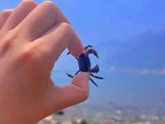 -青岛石老人海水浴场