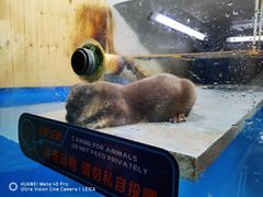 -大连圣亚海洋世界