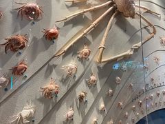 -中国湿地博物馆