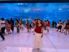 -迪拜水族馆及水下动物园