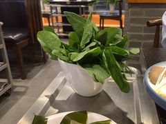 -常赢三兄弟·清真涮肉(五莲路店)
