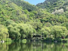 -九如山休闲旅游度假区