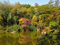 -云溪植物园