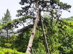 -香山公园