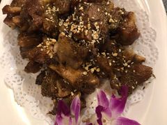 -福苗小骆驼烧烤(大唐不夜城店)