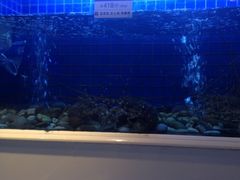 iphone_upload_pic-金苑海鲜酒家(来魅力店)