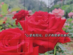 -睦南公园