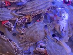 -福禧荟·海鲜自助
