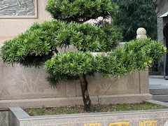 -凤凰山公园-龙王古庙