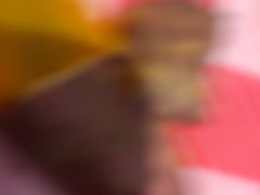 -荆九爷爆炒桥头三嫩(浙大店)