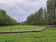 -长白岛森林公园