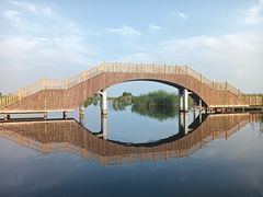 -白洋淀风景区