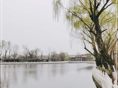 -什刹海