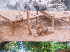 -昆明动物园