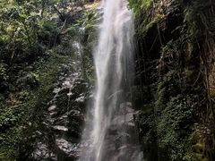 -莫里热带雨林景区