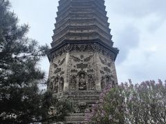 -广胜寺塔