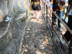 -将军关探险漂流