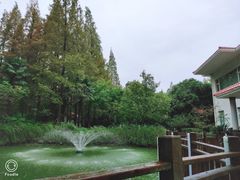 -上海怡沁园度假酒店