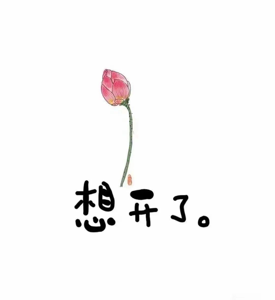 生活没有同花顺,人生的底牌永远是自己!