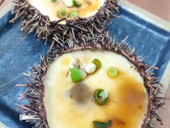 -海胆小馆(东北水饺·春柳店)