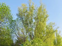 -森林公园(尖草坪区)